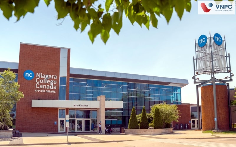  Niagara College